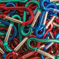 Mini-links Fishbowl Carabiner image