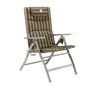 Coleman 5 Position Padded Steel Arm Chair with Glassp image