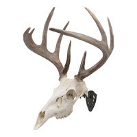 Allen EZ Mount Trophy Skull Hanger Deer Black Fixed image