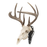 Allen EZ Mount Silhoette Skull Peg image