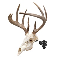 Allen EZ Mount Trophy Skull Hanger Deer Black image
