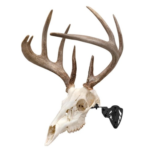 Allen EZ Mount Trophy Skull Hanger Deer Black