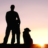 Top Tips for Camping with your Dog